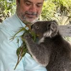  Bingo Koala, Gorge Wildlife Park South Australia.10